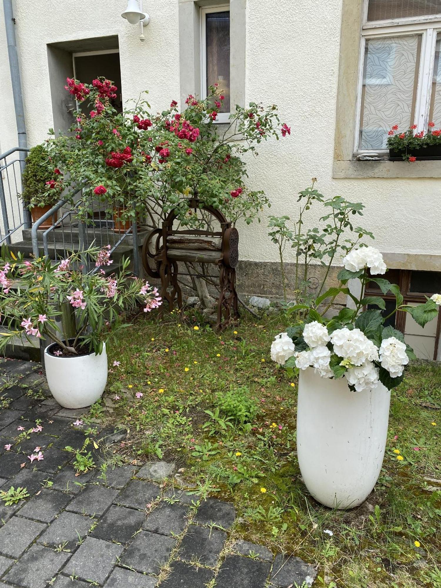 Apartments und Zimmer Gästehaus Matthias Dresden Exterior foto