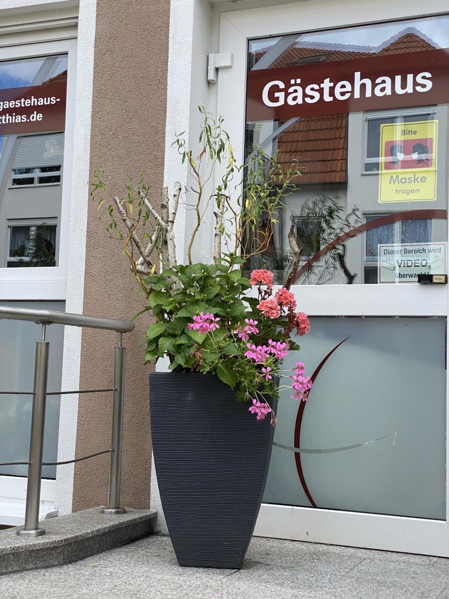 Apartments und Zimmer Gästehaus Matthias Dresden Exterior foto